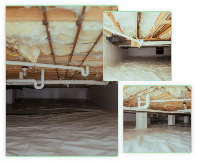 mold-remediation-crawl-space